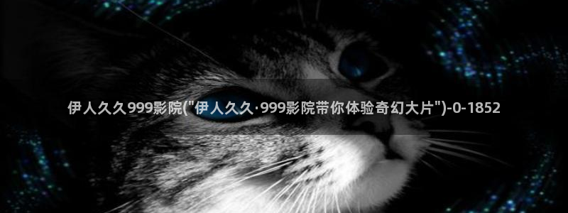 伊人爱爱网视频：伊人久久999影院(\