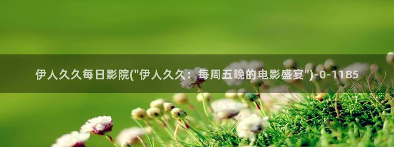 伊人丁香网视频：伊人久久每日影院(\