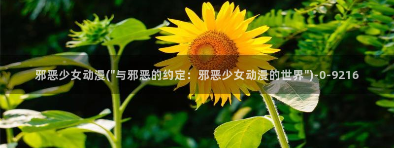 斗破苍穹动漫