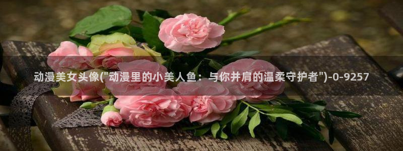 乐乐动漫网