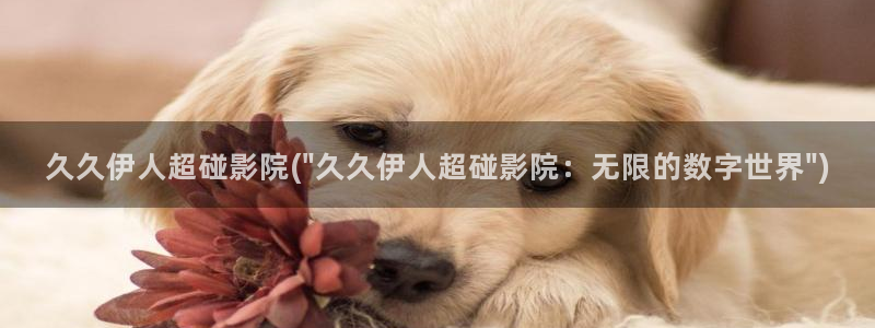 大香蕉伊人美女网视频