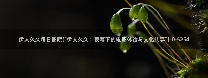 欧美伊人大香蕉网视频：伊人久久每日影院(\