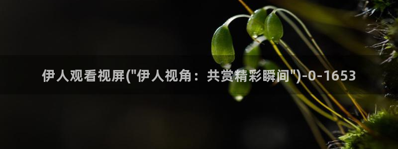 伊人寂寞影院成人网视频：伊人观看视屏(\