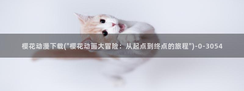 国产动漫