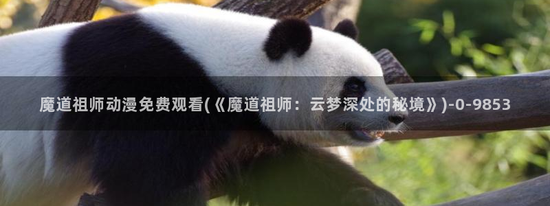 动漫游戏