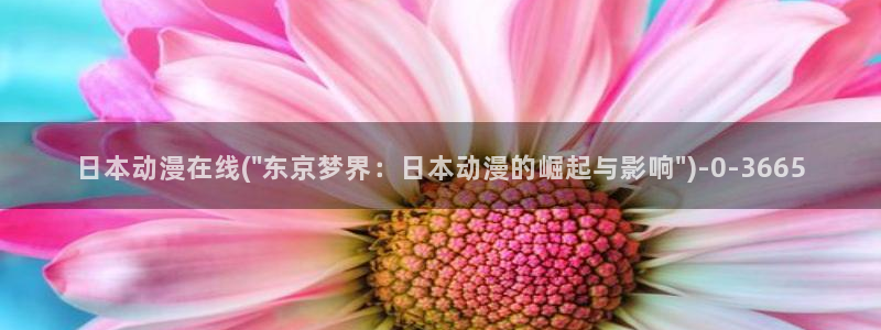 露点动漫