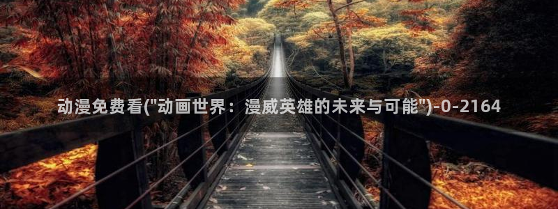 动漫解说
